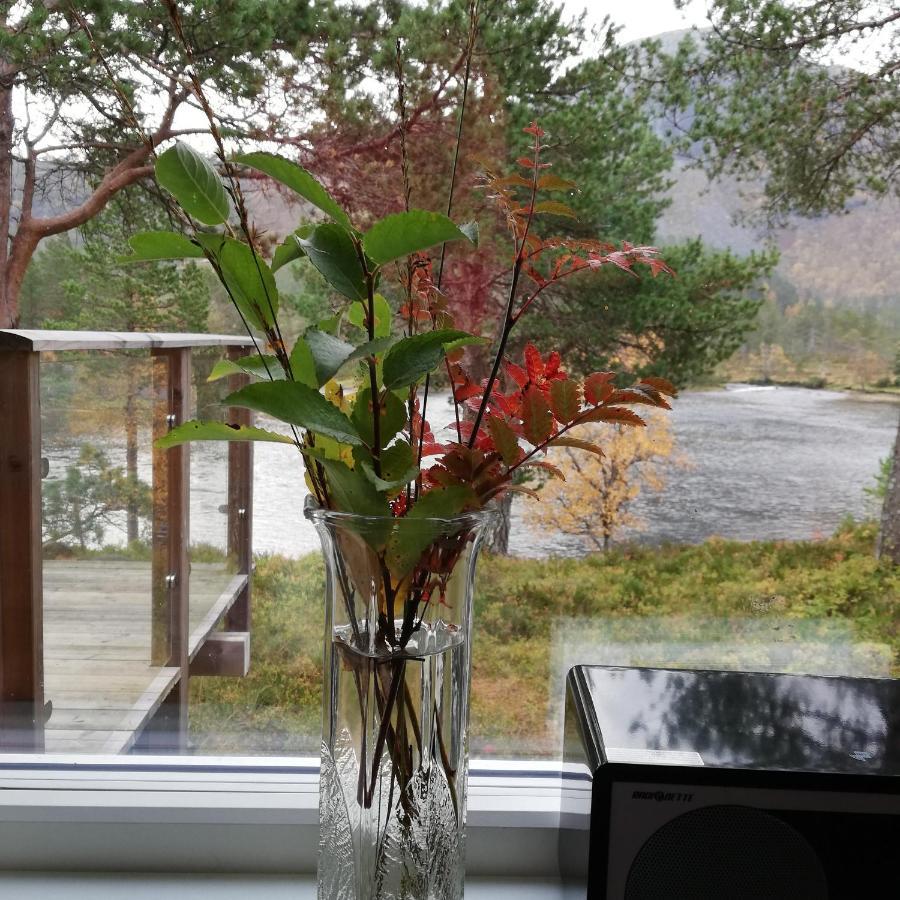 Hytte Ved Gaularfjellet Viksdalen Luaran gambar
